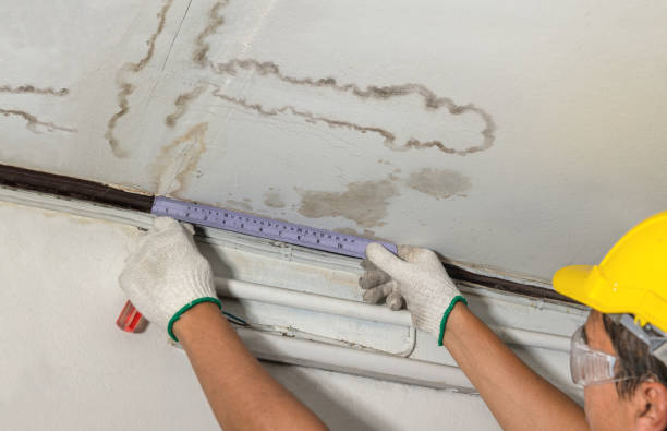 Reliable Emergency Water Damage Restoration contractor in Maysville, OK by Water Damage Irwin